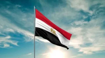 مصر تندد بحملات التشويه وتؤكد التزامها المستمر بدعم القضية الفلسطينية وتخفيف معاناة غزة.