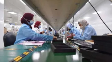 رئيس شركة إنفينكس: استثمرنا 50 مليون دولار ونخطط لإطلاق 20 منتجاً محلياً في السوق المصرية