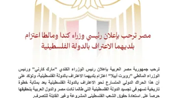مصر تُعبر عن ترحيبها بقرار كندا ومالطا للاعتراف بالدولة الفلسطينية