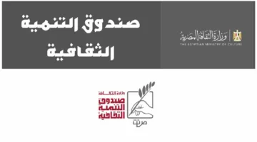 صندوق التنمية الثقافية ينسق 270 عرضًا فنيًا على مدار السنة