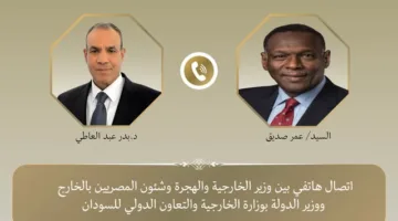 وزير الخارجية يُعرب عن تأييد مصر لاستقلال السودان وسلامة أراضيه ومؤسساته الوطنية.