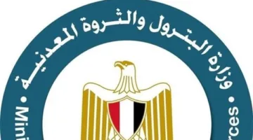 عاجل.. انقلاب سفينة في منطقة جبل الزيت بخليج السويس