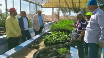 رئيس مركز بحوث الصحراء يقوم بزيارة محطة شمال سيناء في الشيخ زويد ويعلن عن خطة متكاملة لإعادة إعمارها.