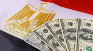 32.8 مليار دولار إجمالي تحويلات المصريين المغتربين خلال 11 شهراً