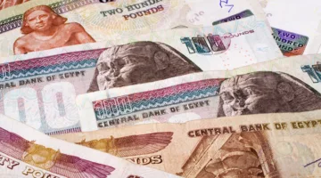 بتكلفة 50 جنيهًا.. البرلمان المصري يتوقع استقرار سعر الجنيه مقابل الدولار لمدة 4 سنوات