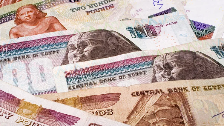 بتكلفة 50 جنيهًا.. البرلمان المصري يتوقع استقرار سعر الجنيه مقابل الدولار لمدة 4 سنوات
