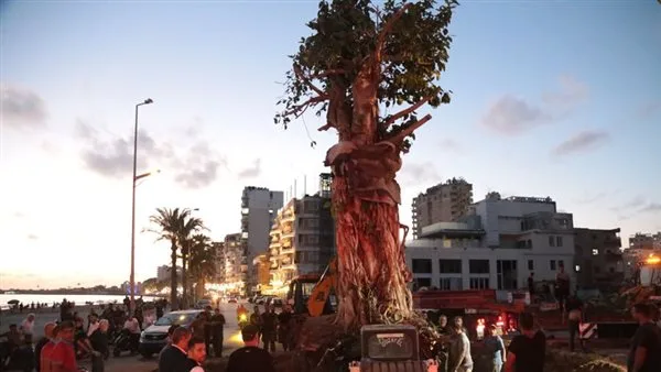 In Celebration of Imam Hussein (AS)… The Enduring “Maa’bed” Tree Joins the Afforestation Initiative in Tyre In Celebration of Imam Hussein (AS)… The Enduring “Maa’bed” Tree Joins the Afforestation Initiative in Tyre