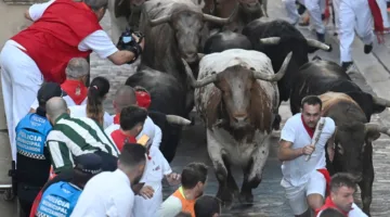 الشوارع ضيقة، العدو ثور، وعدد المصابين 6