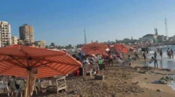 شواطئ الإسكندرية مكتظة بالزوار.. أعلام خضراء وصفراء ترحب بتوافد المصطافين.