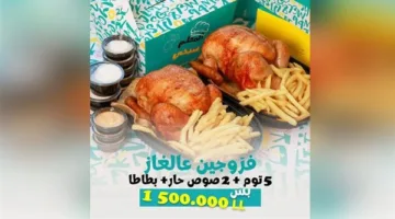 عرض مذهل من المعلم صبحي: فقط 1,500,000، فروجين على الغاز مع توم وكبيس وصوص حار وبطاطا مقلية!