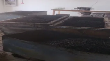 بعد عرض تقرير “جفرا”.. إغلاق مصنع معسل غير قانوني مرتبط بشركة كبيرة