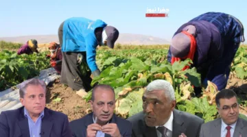 عقدة بالنسخة الرابعة: الغوارنة يعبّرون عن استيائهم .. وزراء بلا ربطات عنق .. العجارمة يجتمعون مع اللحمة .. وزغاريد لنجوى كرم