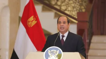 الرئيس السيسي يبرز لنظيره الأوكراني أهمية الحلول السياسية والدبلوماسية لإنهاء الأزمة.