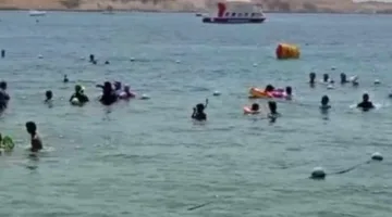 الهروب من ارتفاع درجات الحرارة: توافد ملحوظ للزوار إلى شواطئ شرم الشيخ