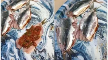 طريقة تحضير سمك السردين المحشي والمقلي