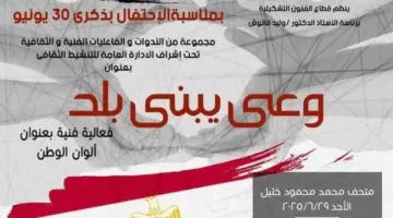 الفنون التشكيلية تُحيي ذكرى 30 يونيو