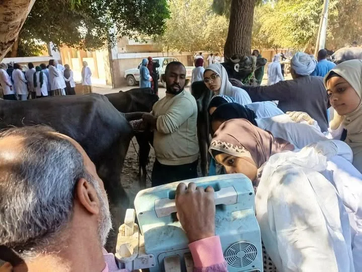 قافلة طبية بيطرية مجانية في قريتي العدوة بكوم أمبو ونجع العرب بدراو قافلة طبية بيطرية مجانية في قريتي العدوة بكوم أمبو ونجع العرب بدراو