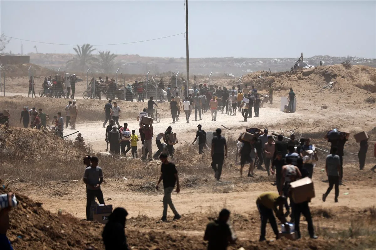 56 شهيدًا جراء غارات إسرائيلية مكثفة على غزة.. والمواصي باتت منطقة غير آمنة 56 شهيدًا جراء غارات إسرائيلية مكثفة على غزة.. والمواصي باتت منطقة غير آمنة