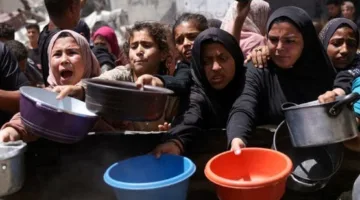 ألبانيز: نشأنا على أن النازية كانت أقصى الشرور، والآن إسرائيل تواصل تجويع وقتل سكان غزة.