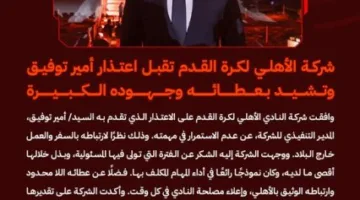 أسباب مغادرة أمير توفيق للأهلي بشكل غير متوقع