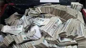 6 ملايين جنيه: إجمالي خسائر قضايا تجارة العملة خلال 24 ساعة