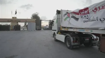 6000 طن من المساعدات تصل غزة.. وإعادة تنظيم الساحة اللوجستية في معبر رفح