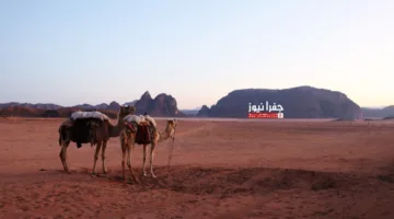 تقرير الطقس ليوم الأربعاء