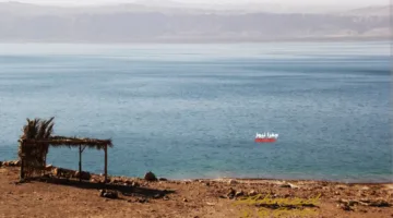 توقعات الطقس يوم الأحد في المملكة