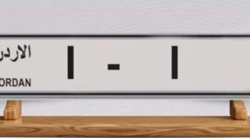 من الذي سيتملك اللوحة (١-١) وما هو سعرها؟