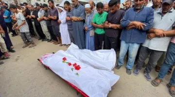613 قتيلًا أثناء توزيع المساعدات في غزة منذ أواخر مايو