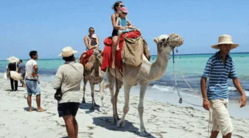 فرنسا تظل في صدارة الأسواق السياحية للمغرب وزيادة ملحوظة في عدد السياح الألمان.