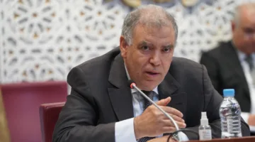 لفتيت: المغرب يتعرض لحملات إعلامية منظمة بسبب الكلاب الضالة