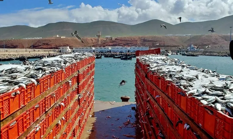 الطلب المحلي يعزز معدل النمو بينما تعيق التجارة الخارجية التحسن الاقتصادي.