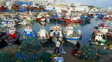 زيادة بنسبة 7% في كميات الصيد بميناء طنجة