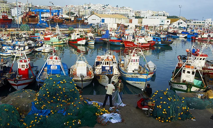 زيادة بنسبة 7% في كميات الصيد بميناء طنجة