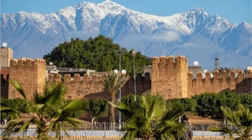 تارودانت: إقامة ورشة تدريبية لرفع كفاءة التعاونيات