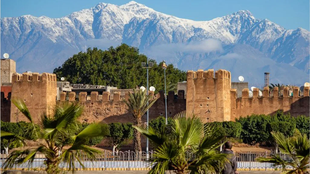 تارودانت: إقامة ورشة تدريبية لرفع كفاءة التعاونيات تارودانت: إقامة ورشة تدريبية لرفع كفاءة التعاونيات