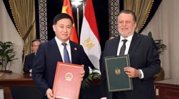محمد شيحة: 1780 توقيعًا على عريضة لسحب الثقة من مجلس إدارة الإسماعيلي.. والإدارة تضلل الجمهور