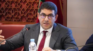 بنسعيد يوضح خطة مواجهة الأخبار الكاذبة التي تستهدف سمعة المغرب