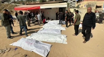 عدد ضحايا الحرب في غزة يتجاوز 203 آلاف بين شهداء ومصابين