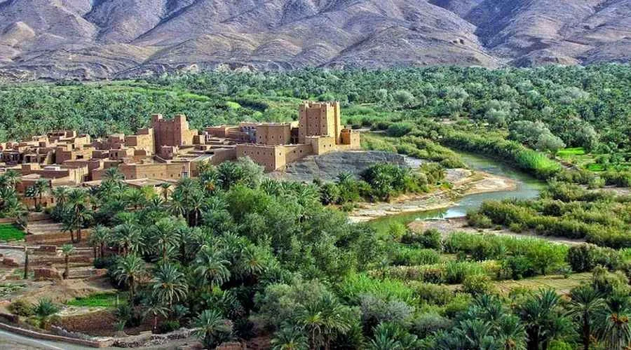 نقص المياه يهدد الواحات والحكومة تتدخل باستثمار يقارب 400 مليون درهم