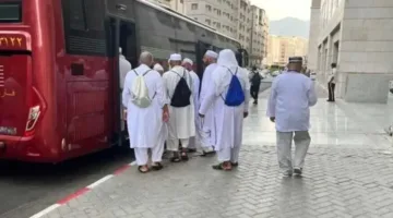 إلغاء الحج البري في مصر للموسم المقبل: التفاصيل وخطة الدولة للتصدي لهذا القرار