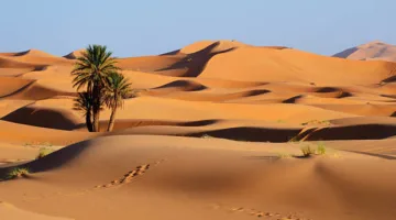 اكتمل تصوير مسلسل “سوق أتاي” استعداداً لشهر رمضان ودخول مشاريع جديدة إلى الاستوديو.