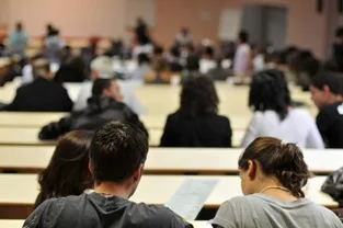 “مجلس التربية” يحذر من فوضى التعليم العالي الخاص ويدعو إلى الإسراع في مراجعة التراخيص