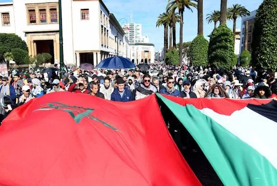 باحث مغربي: التطبيع الأكاديمي تحت ستار “الحرية العلمية” انتهاك لإجماع أخلاقي باحث مغربي: التطبيع الأكاديمي تحت ستار “الحرية العلمية” انتهاك لإجماع أخلاقي