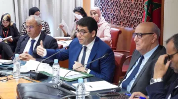 بنسعيد يوضح ملامح إعادة هيكلة المجلس الوطني للصحافة