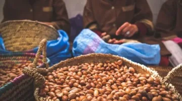 توسع شبكة التعاونيات لتصل إلى 60 ألف وحدة مع تركيز على مشاريع النساء