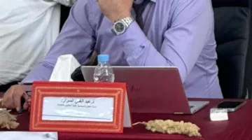 إعادة صياغة هندسة التنمية المحلية: التفاعل بين الدولة، الجماعات المحلية والمجتمع المدني
