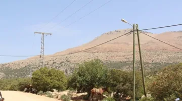 الكهـرباء الريفية تعزّز التنمية في بني ملال-خنيفرة