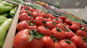زيادة صادرات الطماطم المغربية بنسبة 269% تثير قلق الإسبان وضغوط لمراجعة الاتفاقيات التجارية